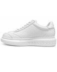 Dino Sneaker*