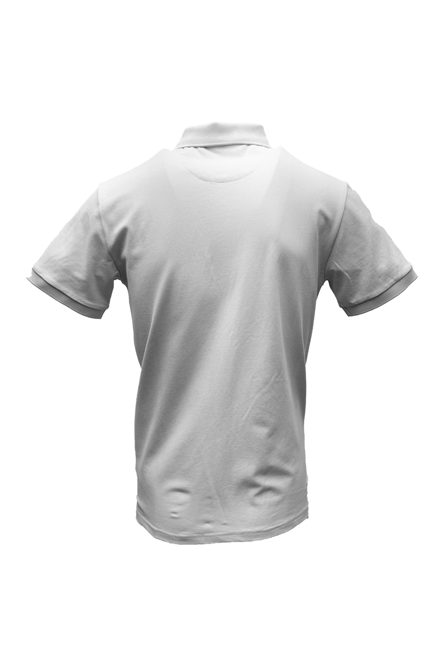 Dollar Golfer*
