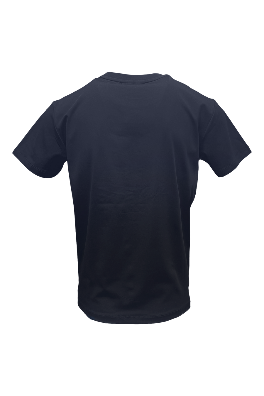 Jaskandi T-Shirt*