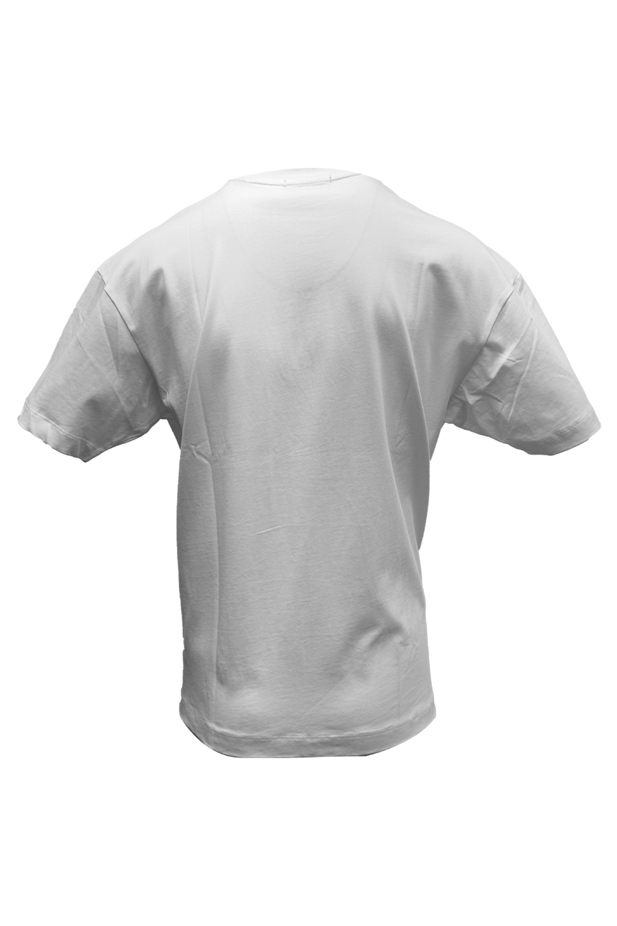 Lanny Oversized T-Shirt*