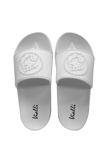 Frigo Slide*